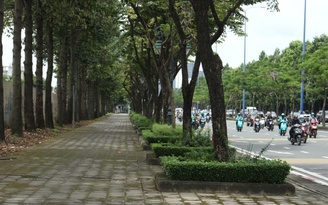 Đại lộ Mai Chí Thọ sắp có làn riêng cho xe đạp: Điều đặc biệt là gì?
