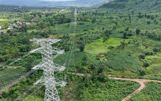 Thấy gì từ việc T&T sớm hoàn thành đường truyền tải điện từ Lào về Việt Nam?