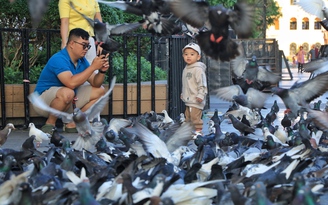 Ngắm đường phố trung tâm TP.HCM sáng sớm ngày đầu năm mới 2026