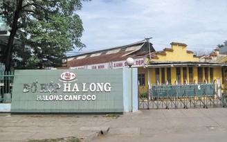 Cổ phiếu của Công ty Đồ hộp Hạ Long diễn biến ra sao?