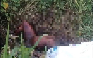 TP.HCM: Điều tra vụ tử thi lõa thể, khô hóa cạnh trạm thu phí