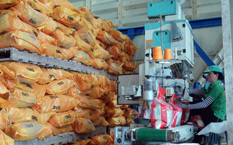 Thị trường gạo Việt Nam thế nào sau khi Philippines mở cửa?