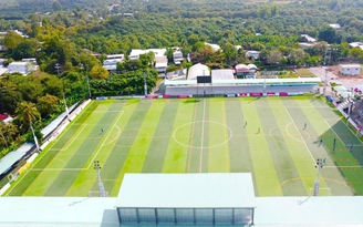 Sôi động xứ sen hồng