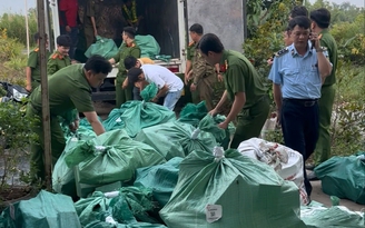 Phát hiện hơn 4 tấn mỹ phẩm không giấy tờ ở Cà Mau