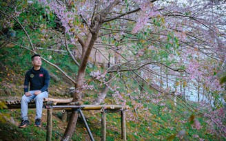 Đinh Mạnh Hưng - Người kể chuyện quê hương bằng những bước chân lang thang