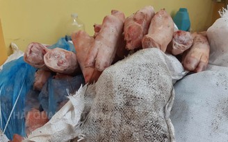 Hải quan chặn 1,5 tấn chân giò, xúc xích bẩn nhập lậu có dấu hiệu phân hủy