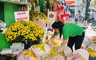 Điều bất ngờ sau 3 tiếng giải cứu hoa tết ở TP.HCM