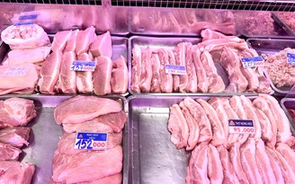 Giá heo hơi hôm nay 28.1.2026: Nhiều nơi đạt 81.000 đồng/kg