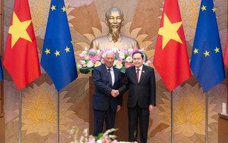 Thúc đẩy hợp tác giữa Quốc hội Việt Nam và Nghị viện châu Âu