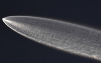 Trung Quốc tố lên LHQ về nguy cơ từ các vệ tinh của tỉ phú Elon Musk