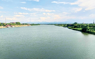 Những giấc mơ xuân