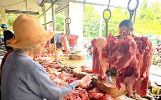 Giá heo hơi hôm nay 6.2026: Xoay chiều tăng