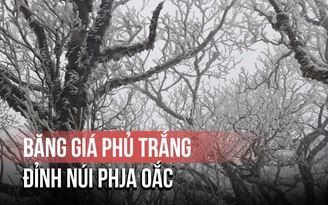 Không khí lạnh cường độ mạnh ở Cao Bằng: Đỉnh núi Phja Oắc phủ băng giá