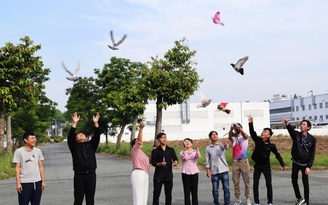 Bồ câu đưa thư bay 40 phút từ Tây Ninh đến TP.HCM, mang theo lời chúc năm mới