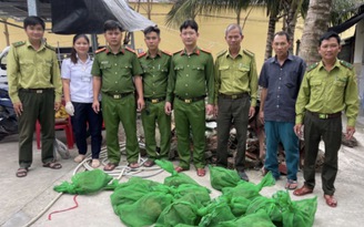 22 con chồn hương bị bỏ trên chiếc vỏ lãi