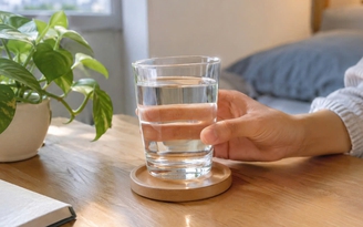 Sau bữa tối nên uống gì tốt cho thận? Sau bữa tối nên uống gì tốt cho thận?