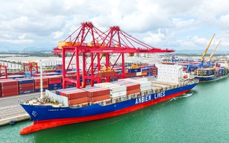 Xây dựng các 'sếu đầu đàn' Việt Nam vươn tầm quốc tế