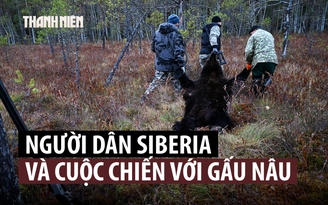 Gấu 'lộng hành', thợ săn Siberia quyết định hành động