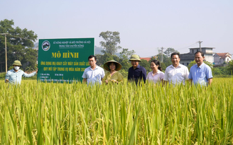 Gỡ ‘nút thắt’ để phát triển nông nghiệp công nghệ cao Gỡ ‘nút thắt’ để phát triển nông nghiệp công nghệ cao