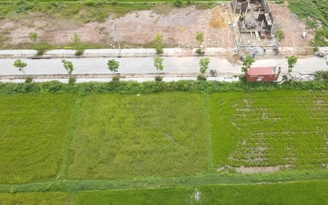 Hà Tĩnh: Đấu giá đất ế ẩm, giá khởi điểm giảm tới 2,4 tỉ đồng/lô Hà Tĩnh: Đấu giá đất ế ẩm, giá khởi điểm giảm tới 2,4 tỉ đồng/lô