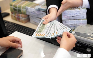 Giá USD hôm nay 21.10.2026: Quay đầu giảm, ngược chiều euro và yen Nhật Giá USD hôm nay 21.10.2026: Quay đầu giảm, ngược chiều euro và yen Nhật