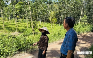 Vụ cấp nhầm sổ đỏ ở TP.HCM: Luật sư nói gì?
