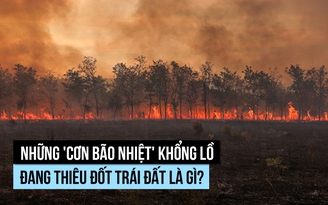 Nhiều 'cơn bão nhiệt' khổng lồ đang thiêu đốt trái đất, vì sao?