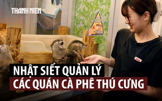 Vì sao các quán cà phê thú cưng tại Nhật Bản sẽ bị giám sát chặt hơn?