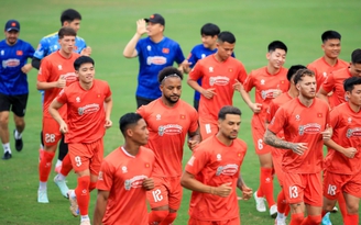 Đội tuyển Việt Nam sẽ hưởng lợi khi AFC Nations League ra đời? Đội tuyển Việt Nam sẽ hưởng lợi khi AFC Nations League ra đời?