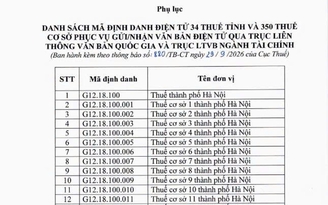 Mã định danh điện tử mới của 34 thuế tỉnh, thành phố và 350 thuế cơ sở