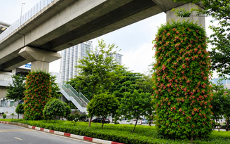 Hà Nội thí điểm trồng cây phủ xanh trụ cầu đường sắt, hầm chui