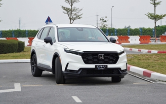 Xe hybrid có tạo được cú hích giữa thời xăng tăng giá?
