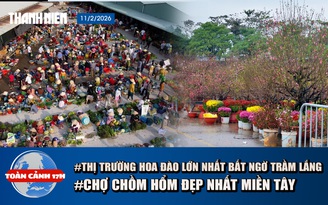 Toàn cảnh 17h: Thị trường hoa đào tại Hà Nội bất ngờ trầm lắng | Cận cảnh chợ chồm hổm đẹp nhất miền Tây
