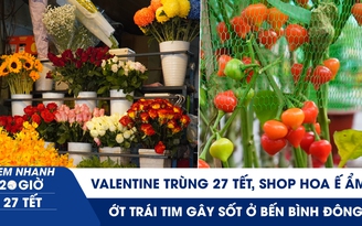 Xem nhanh 20h ngày 27 tết: Valentine cận tết, shop hoa ế ẩm | Ớt trái tim gây sốt ở Bến Bình Đông