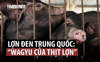Bất ngờ loại 'Wagyu thịt lợn' lên ngôi tết này ở Trung Quốc
