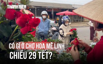 Chợ hoa Mê Linh chiều 29 tết: 100 nghìn mua được 4 chậu hoa