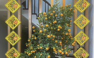 Tết xa quê của người Việt rời Ukraine: Không còn bàn thờ gia tiên