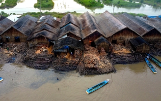 Giữa rừng ngập mặn Cà Mau, nghề hầm than trăm năm vẫn đỏ lửa