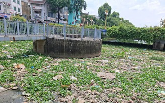 Rác và lục bình ngập kênh Nhiêu Lộc - Thị Nghè