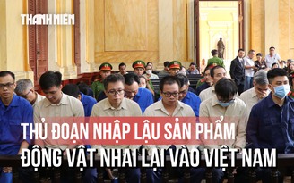 Thông đồng với doanh nghiệp nhận hối lộ, lãnh đạo Chi cục Thú y vùng 6 hầu tòa