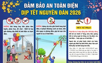 Hiểm nguy từ bóng bay, cánh diều làm mất an toàn hệ thống điện