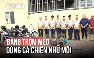 Bắt băng nhóm trộm mèo dùng cá chiên nhử mồi, xịt hơi cay chống trả người dân