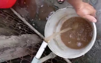 Nước sinh hoạt đục ngầu, gần 1.400 hộ dân ở Đồng Tháp sống trong lo lắng
