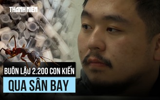 Người giấu 2.200 con kiến sống trong hành lý bị bắt ở Kenya