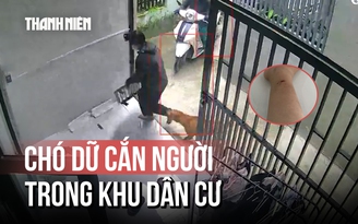 Nỗi ám ảnh chó dữ thả rông liên tục cắn người tại TP.HCM