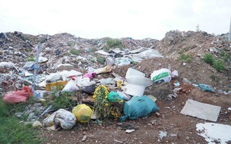 Bờ kè sông Dinh biến thành bãi rác vì nạn đổ trộm