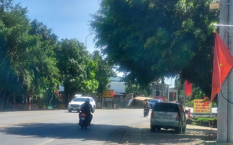 Tàn cây che tầm nhìn trên quốc lộ