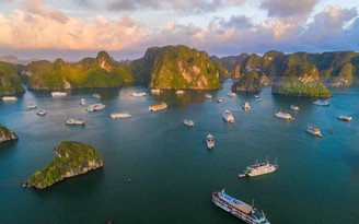 Lắp 10 điểm Starlink phủ sóng internet trên vịnh Hạ Long