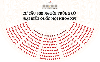 Cơ cấu, trình độ 500 người trúng cử đại biểu Quốc hội khóa XVI
