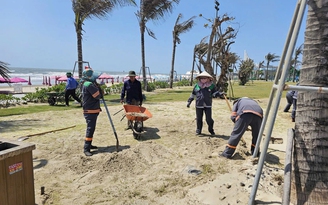 Công viên Bãi Sau ngập cát biển: Cần khảo sát, nghiên cứu kỹ
